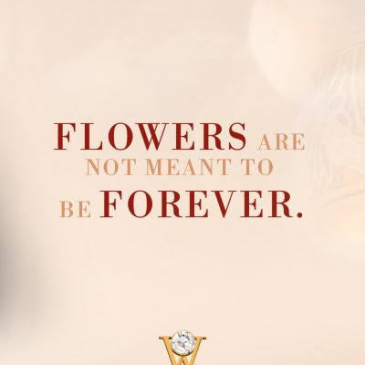 Flowers are not meant to be forever. Oder vielleicht doch?
Der Ring FLOWER POWER von Wellendorff ist aus genau diesem Wunsch entstanden. 18 Karat Gold, leuchtende Kaltemaille und eine Welle aus handgefassten Brillanten verschmelzen zu einem lebendigen Ring. Bei jeder Drehung erinnert er Sie an die schönsten Augenblicke Ihres Lebens. ✨
#Wellendorff #FlowerPower #Limited #JuwelierGadebusch #köln